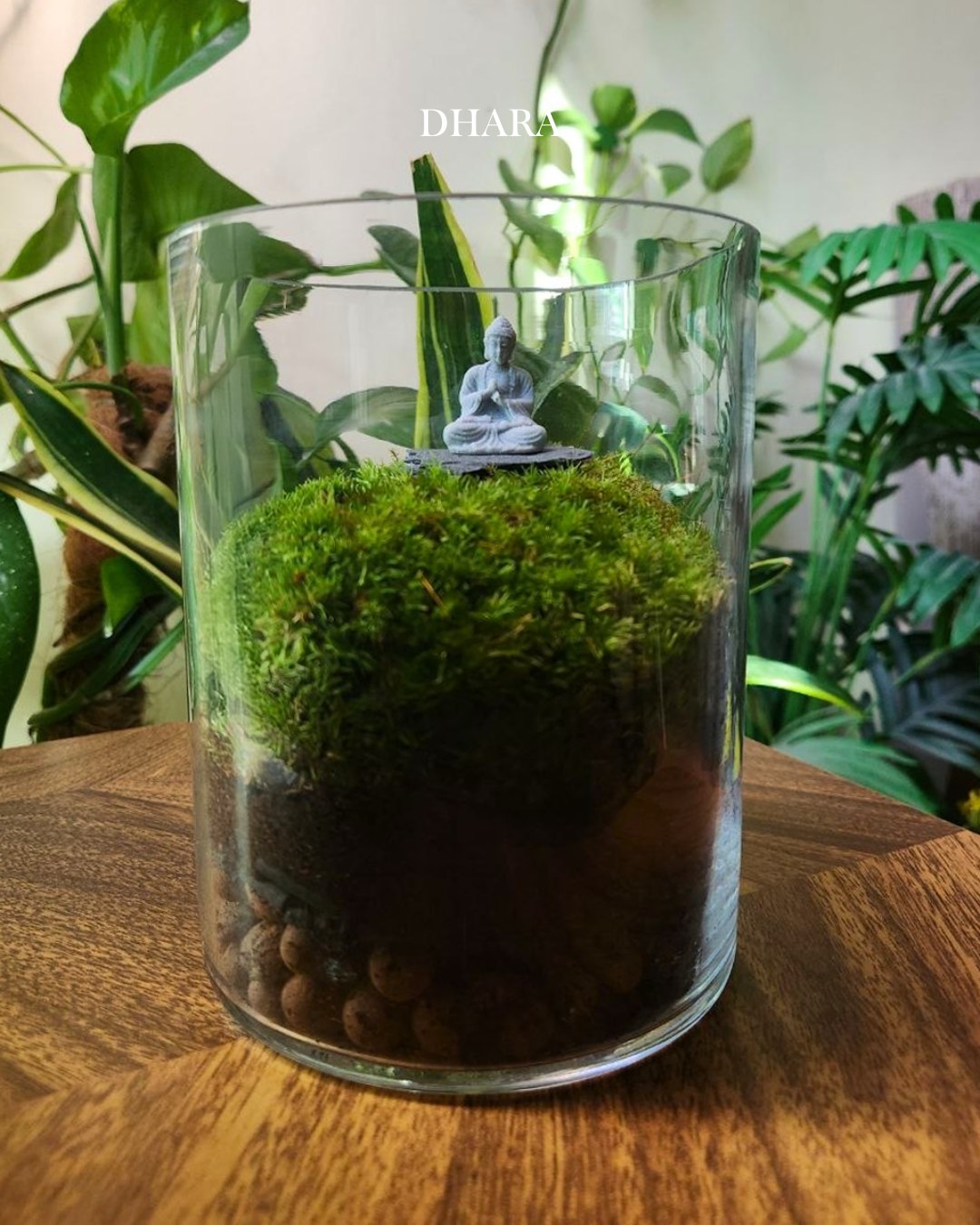 Terrarium creation