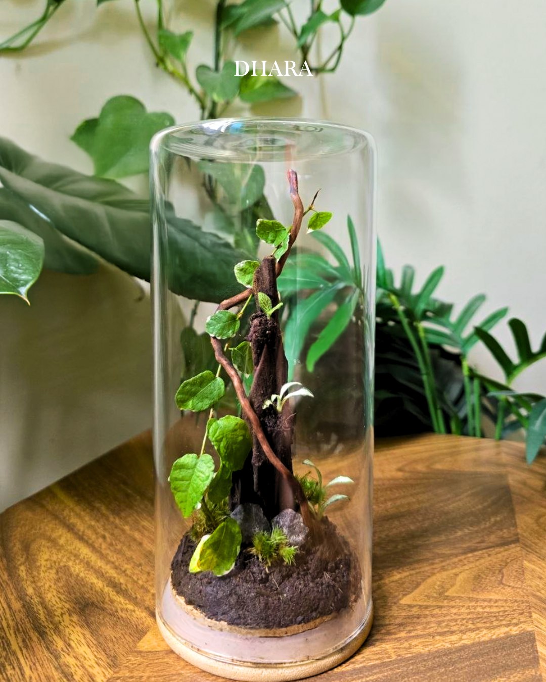 Terrarium creation