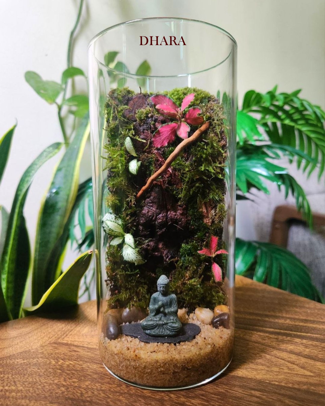 Terrarium creation