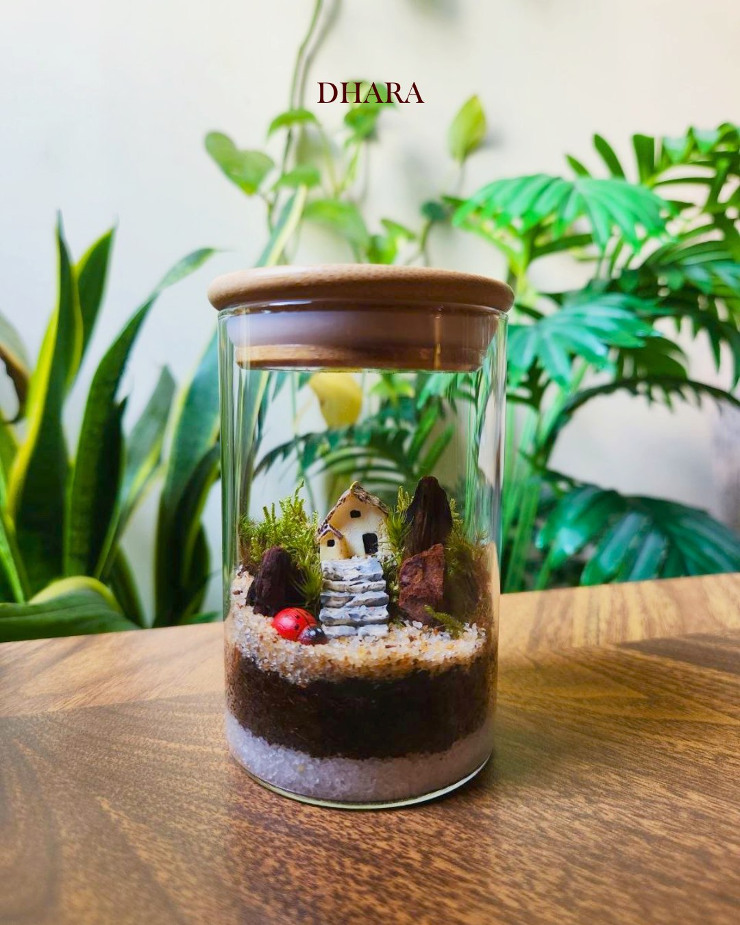 Terrarium creation