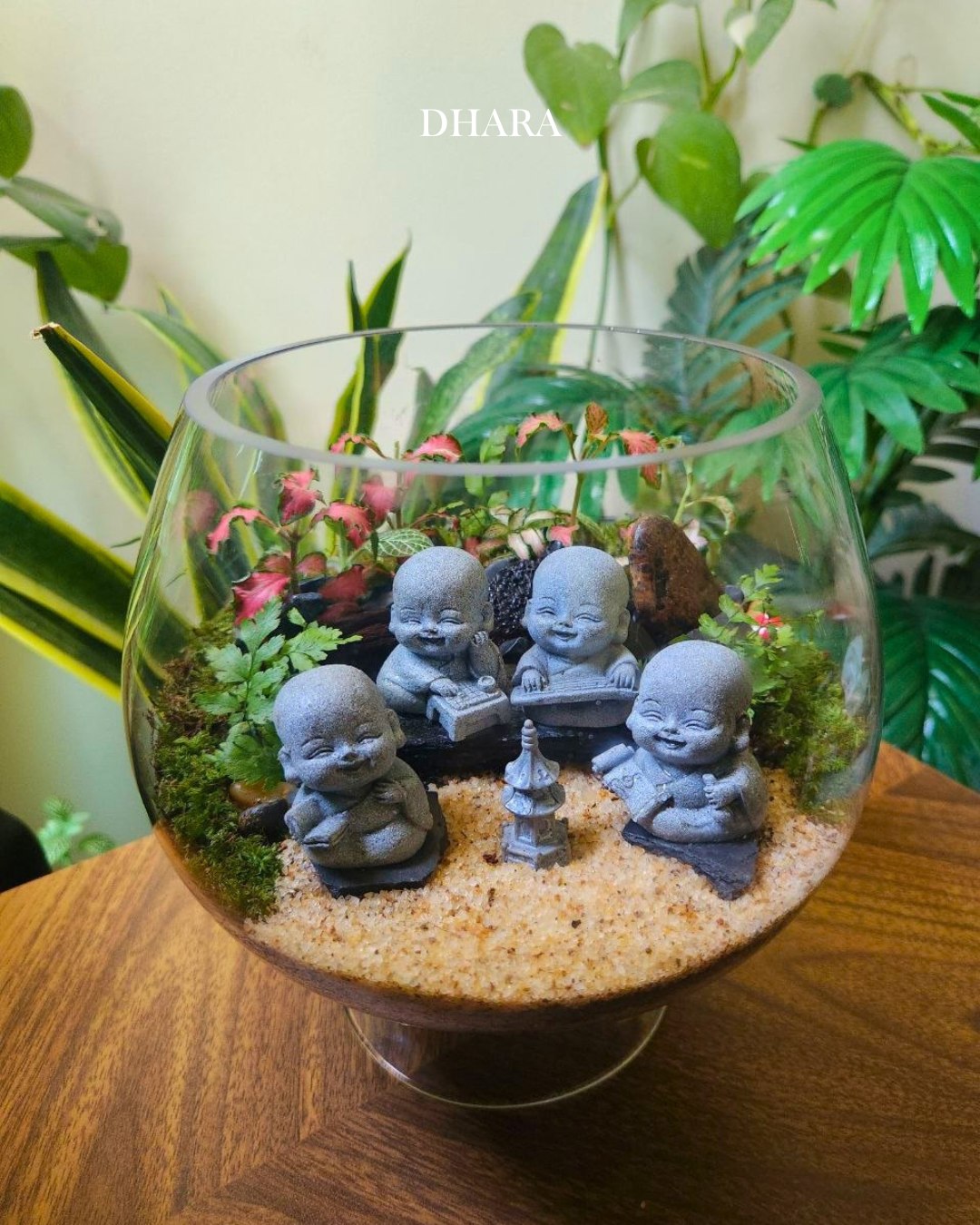 Terrarium creation