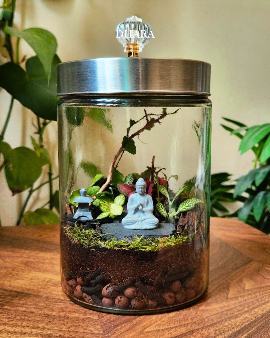 Terrarium creation