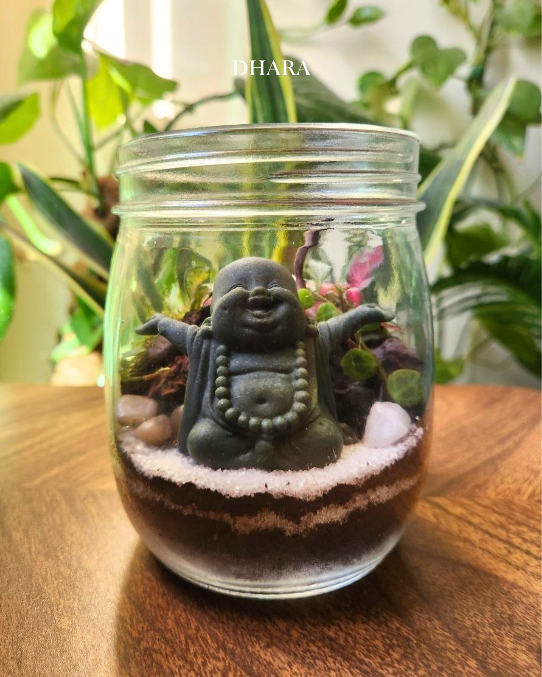 Terrarium creation