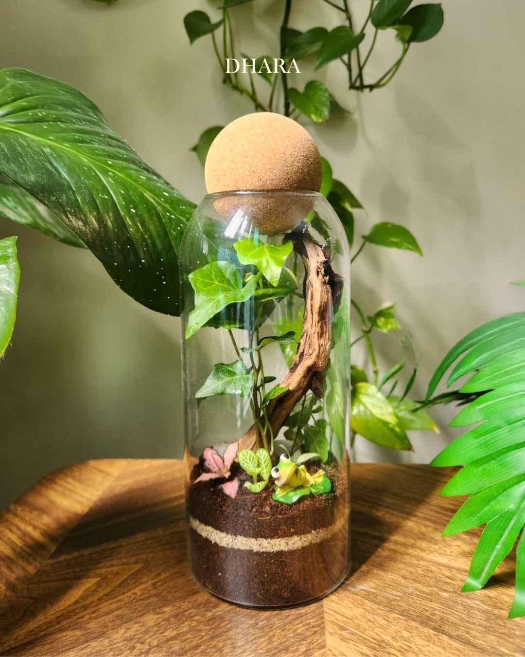Terrarium creation