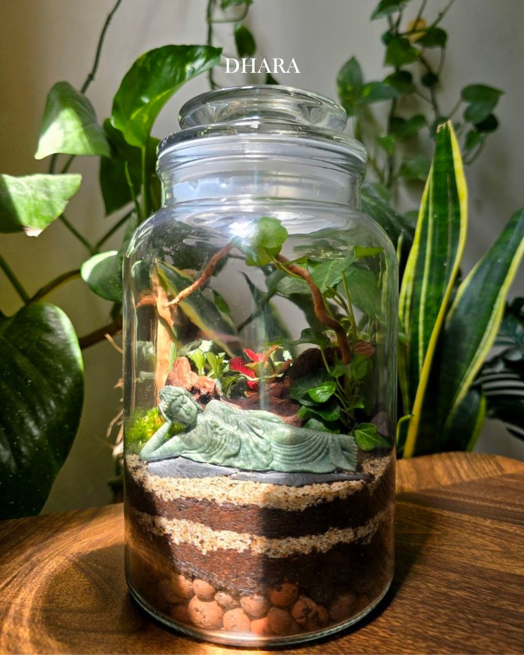 Terrarium creation