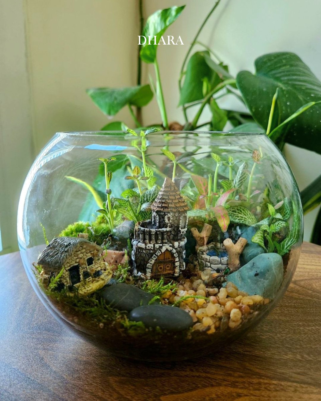 Terrarium creation