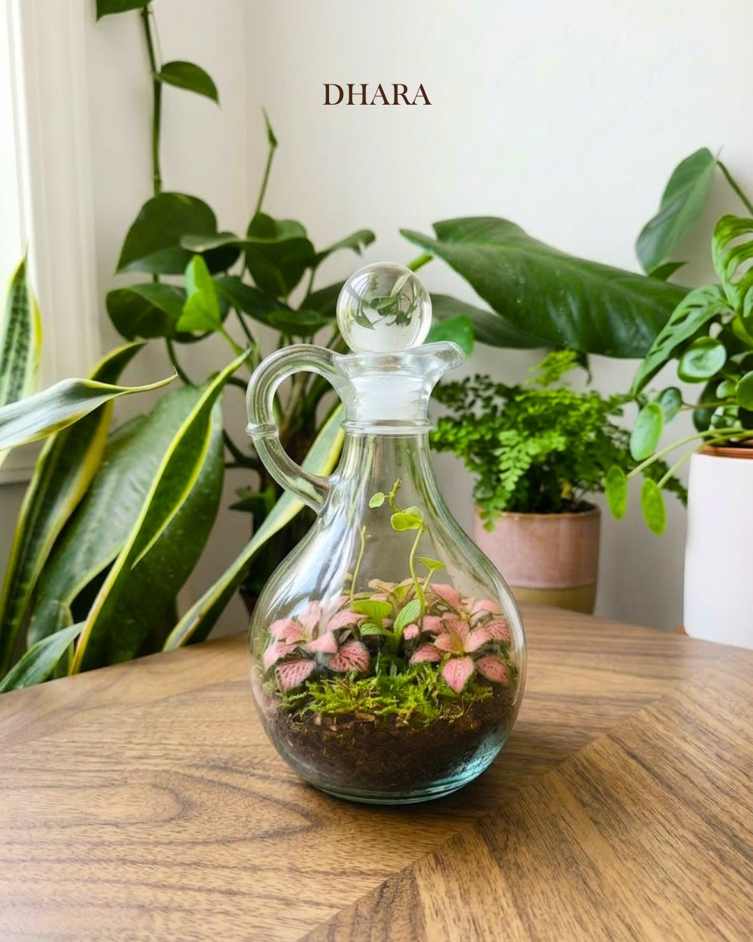 Terrarium creation